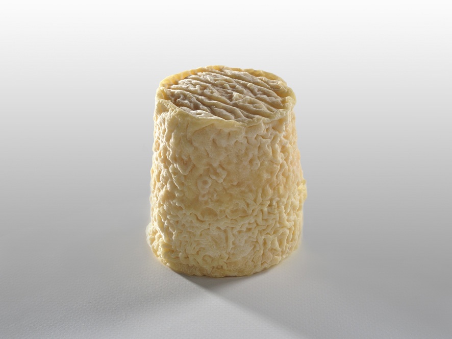 CHABICHOU DU POITOU AOP X6